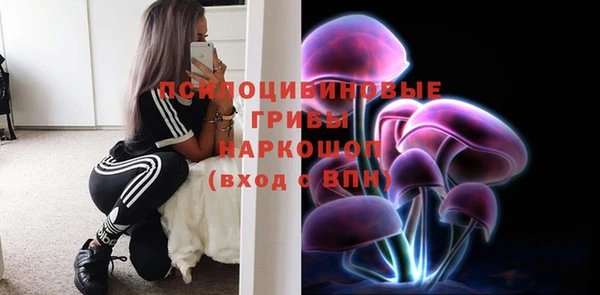 стаф Киреевск