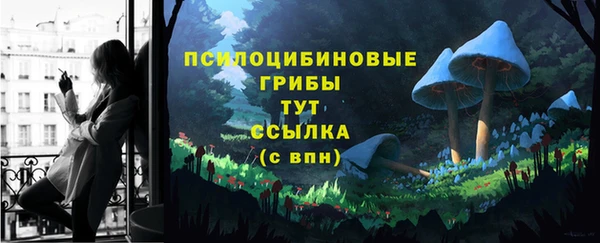 стаф Киреевск