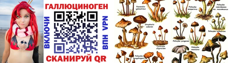 Купить  Выборг  Галлюциногенные грибы GOLDEN TEACHER 