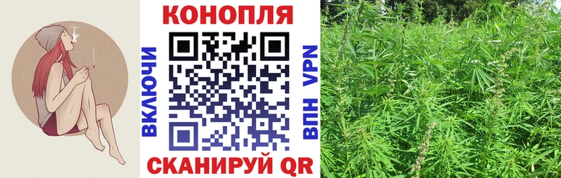 Купить закладки  Выборг  Бошки Шишки сатива 